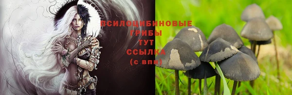 spice Алзамай