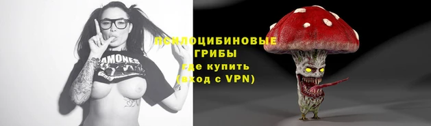 spice Алзамай