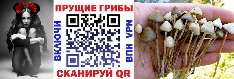KRAKEN как войти  Жуковский  Псилоцибиновые грибы ЛСД 